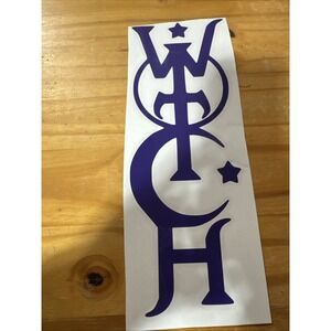 Large Witch Vinyl Decal Wicca Pagan Moon Goddess Unique  11"T  4.25" W HTF